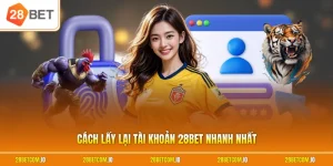 Cách lấy lại tài khoản 28BET nhanh nhất